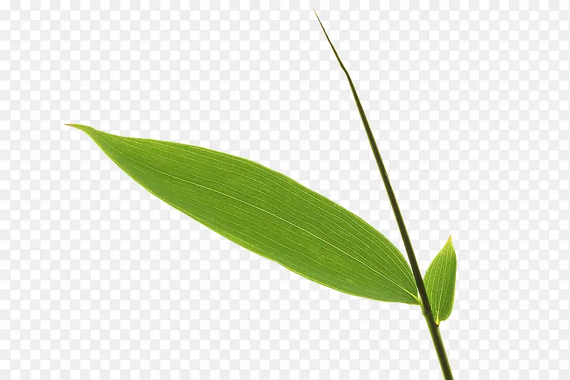 ��-������