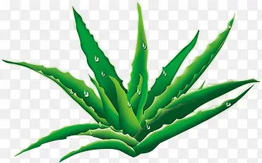 ��ͨ�����ֻ濨ͨ«��-������