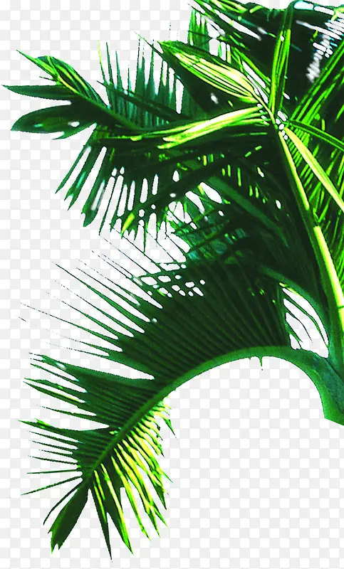 �ֻ�廭����Ч�����-������