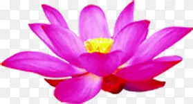 �ֻ���Ӱ��������Ч��-������