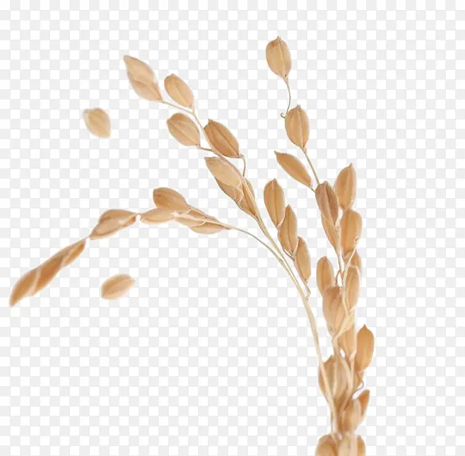 ����-������