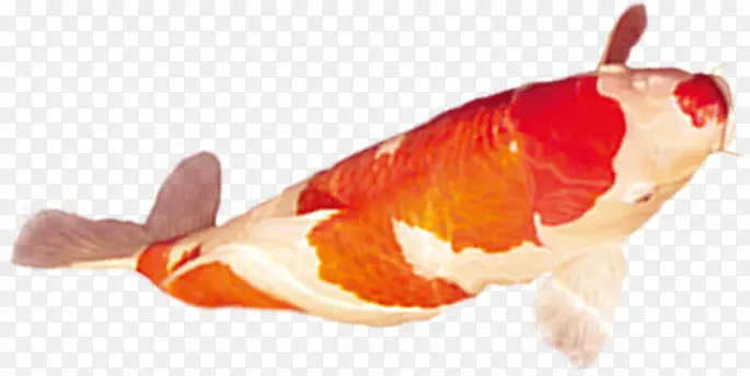 �ֻ洴�����㺣��-������