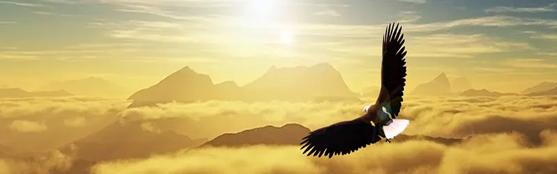 ����ʱ�к�����������-������