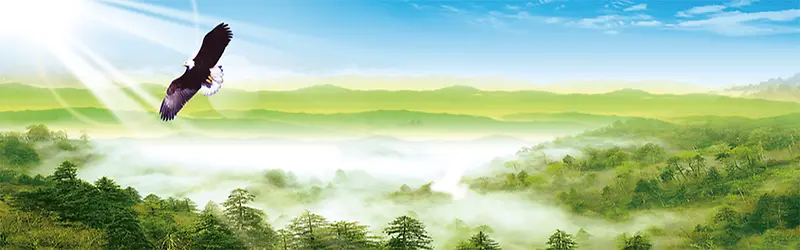 ����ʱ�к�����������-������