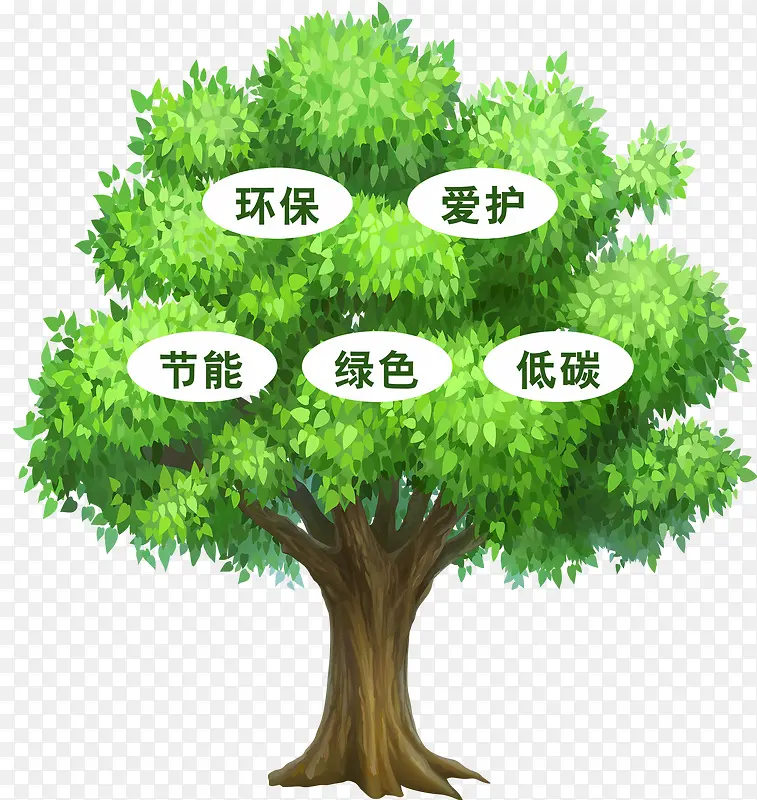 ��������ɫ-������