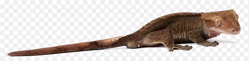 ���ж���-������