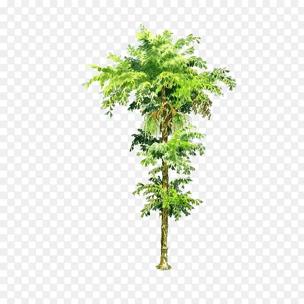 ��-������