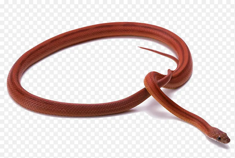 ��������-������