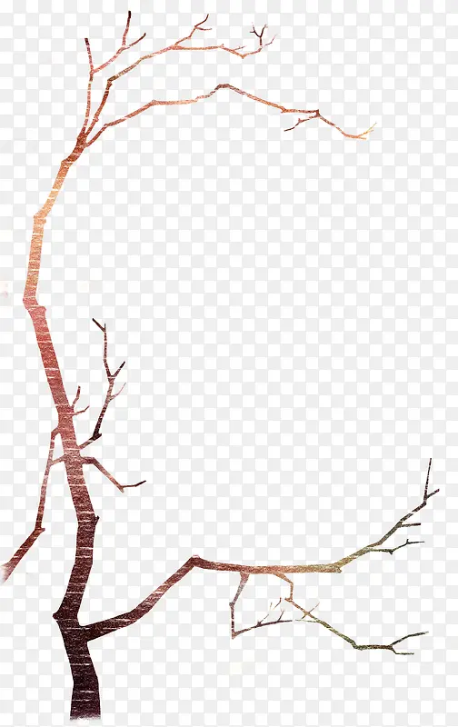 ����֦-������