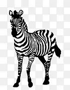 �ֻ����-������