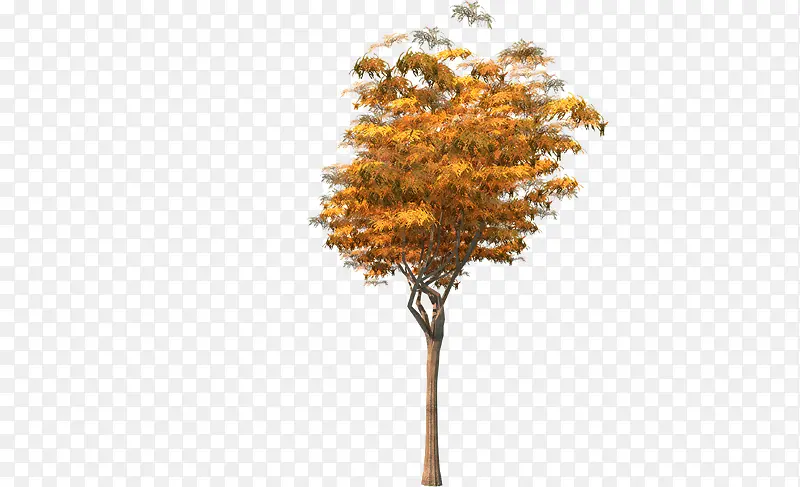 ��-������