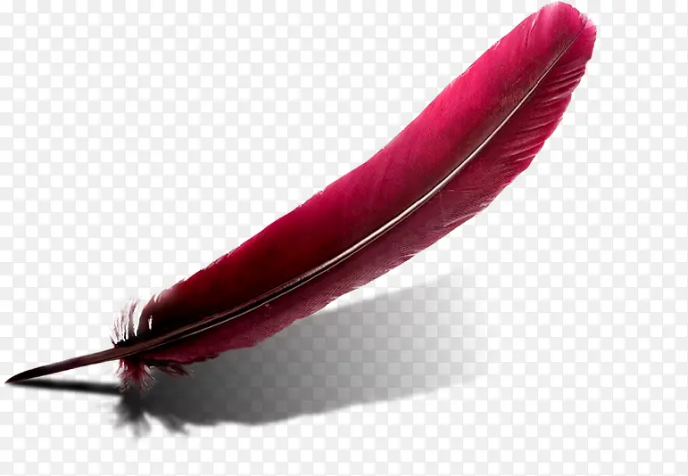 ��ɫ��ë������ë-������