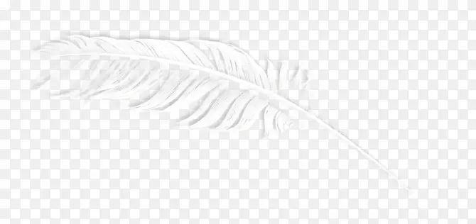 �ֻ���ë-������