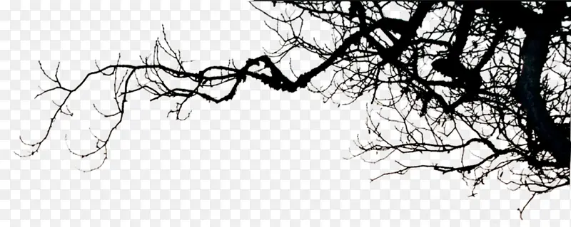 ��֦��Ӱ-������