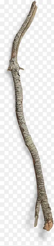 �ɿ�ֲ����֦����-������