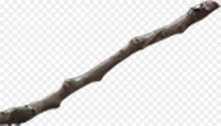 �ɿ���֦ʵ��-������