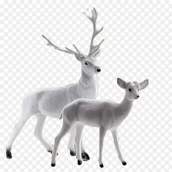 ��ɫ¹-������