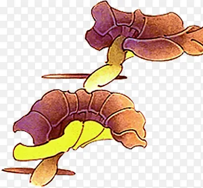 �����ֻ�ϳɴ�����״-������