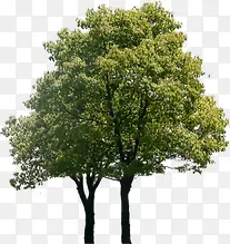 ���崴����Ӱ�̻���ƺϳ�-������