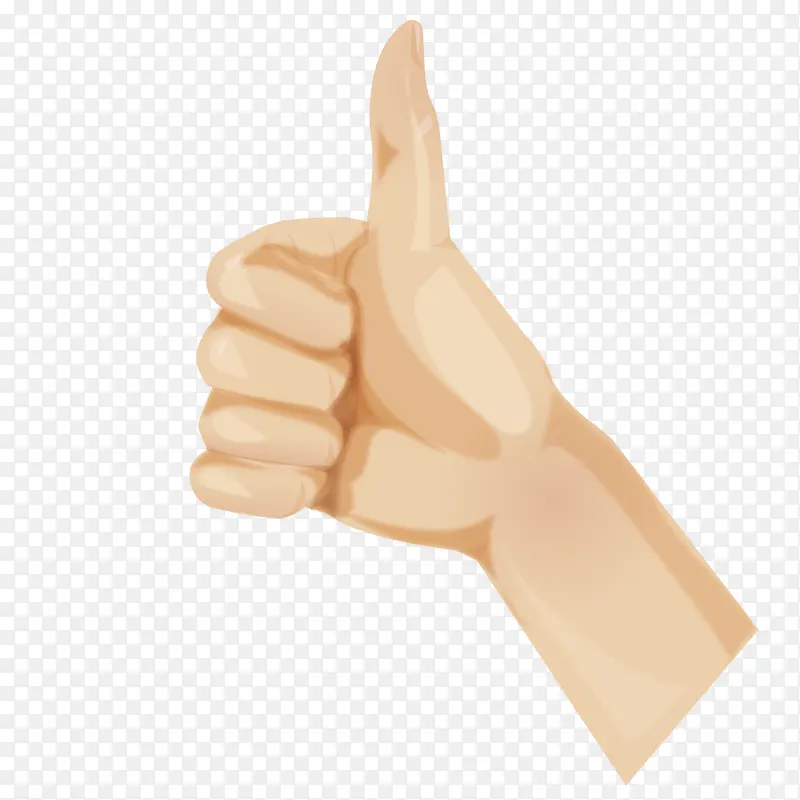 �����ָ����-������