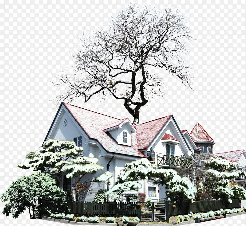 ������Ӱ���崴��ѩ������-������