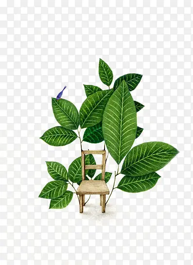 ��ɫ��������ֻ���Ӱ-������