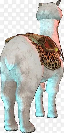 ������Ӱ�����ɫ������-������