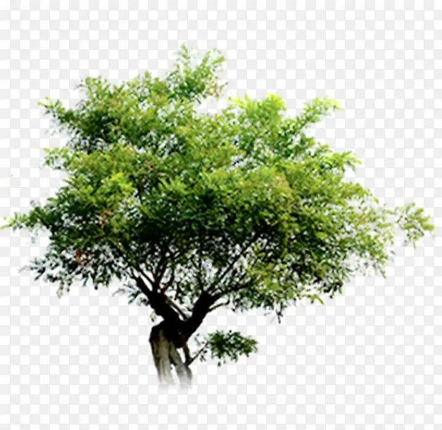 ���崴�⾰���ϳ���Ӱ-������