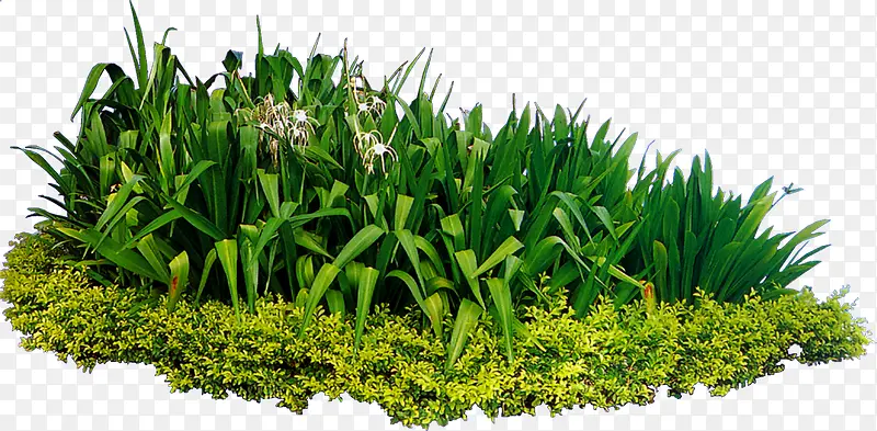 ������Ӱ���⻨���ݲ�-������