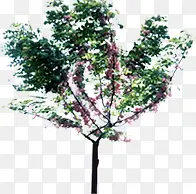 ���������ɫ��Ӱ-������