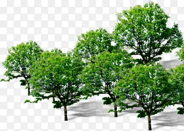 ���崴����Ӱ�ϳ�-������