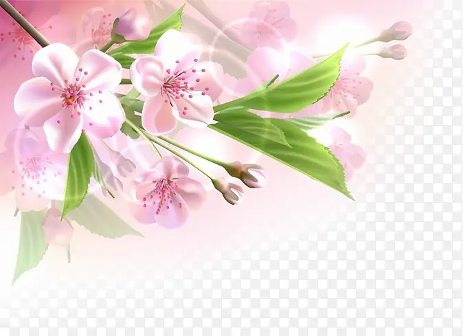 ������Ӱ�����ɫ����-������