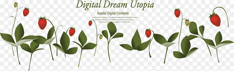 ��ͨ�������Ƭ����-������