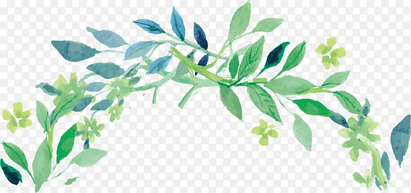 ��ɫ�ݻ�-������