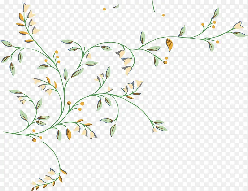 Ψ����ʽ������֦-������