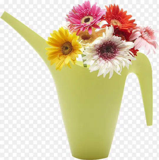 ��ɫ����廨����-������