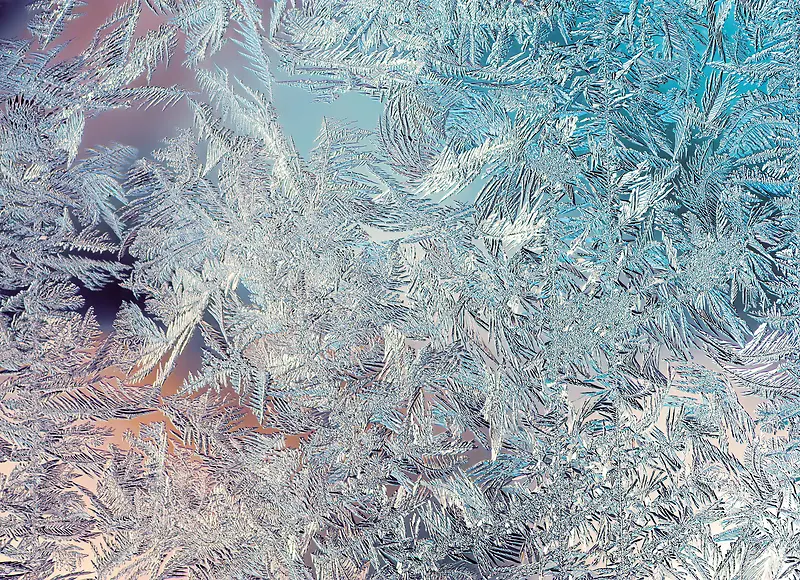 ����������������-������