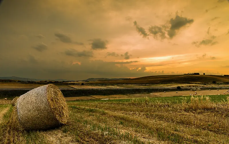 ��������������Ӱ����-������