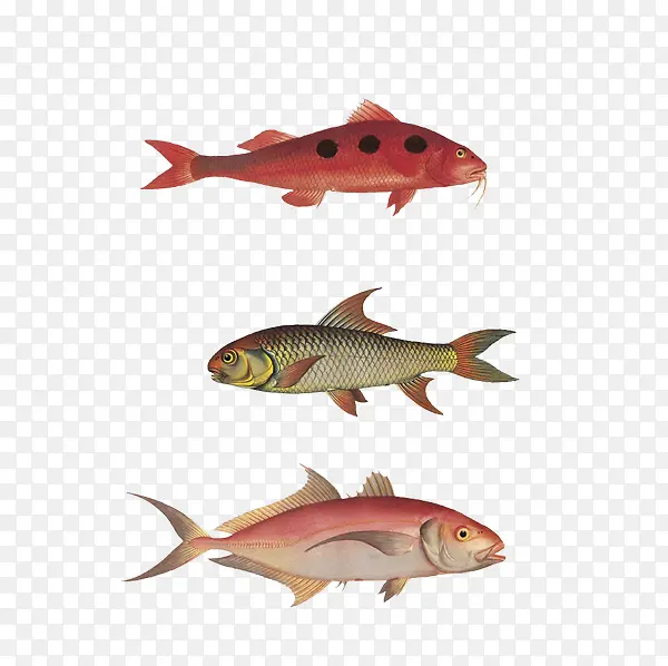 �廭 ��ˮ��-������