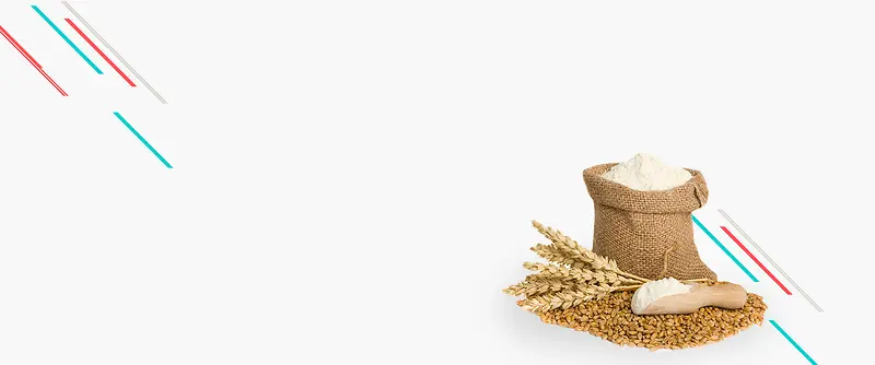 ���ʳ���౳��-������