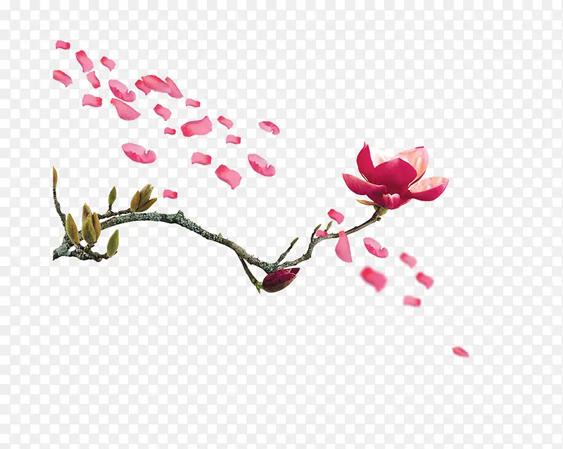 ��֦-������