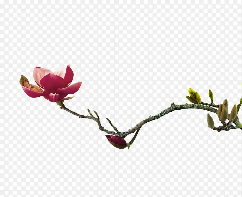 ��-������