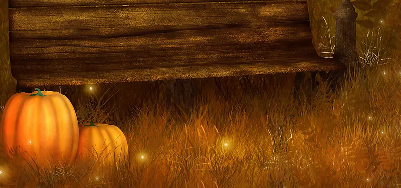 ��ʥ����Ӱ����-������