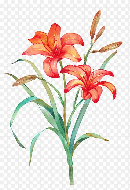 ˮ�ɻ�ˮī�����-������