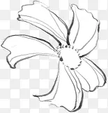 �ֻ��ɫ���䴴��-������