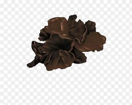 ��ʳ��-������