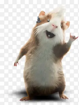 ������Ӱ���к���С����-������