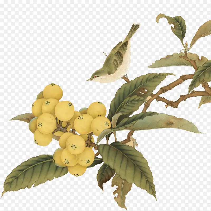 ����-������