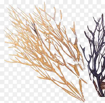 ��ɫ��Ϸ������֦-������