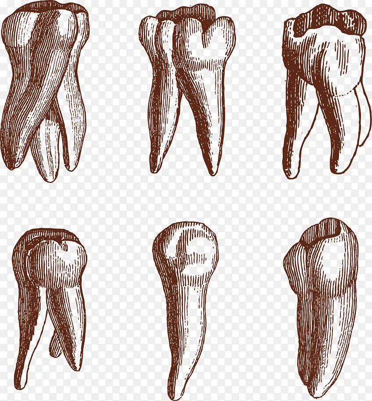 �ֻ�����-������